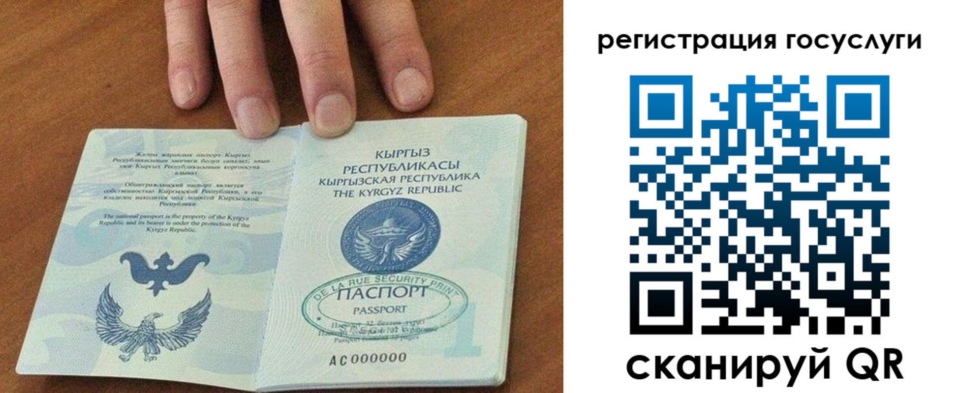прописка ребенка в Острогожске